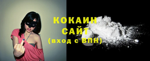 метадон Алексин